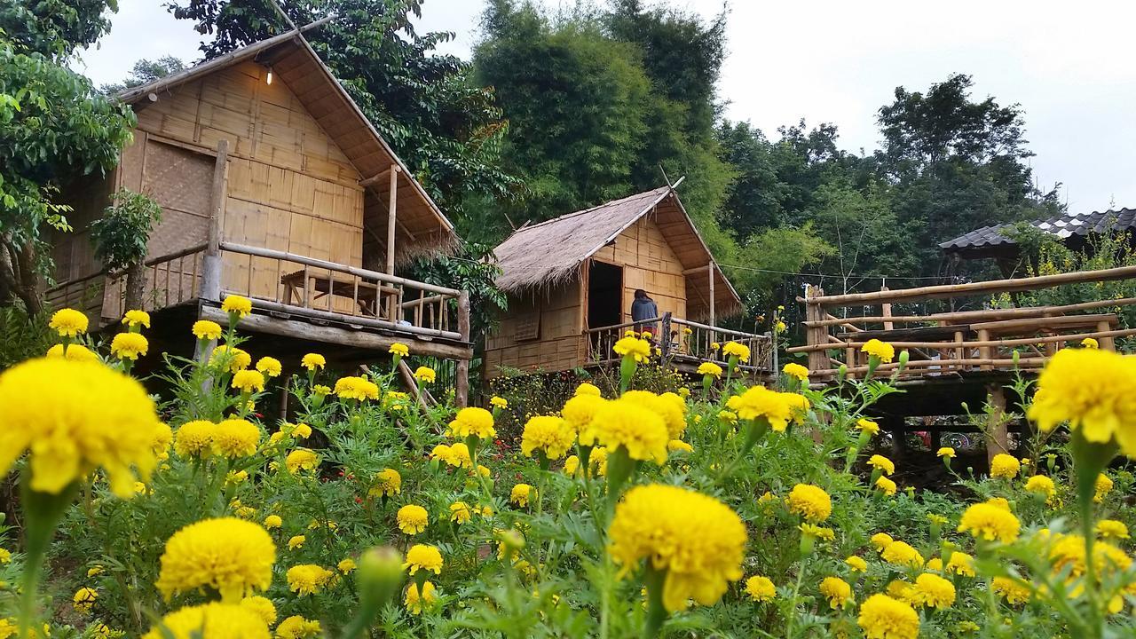 Baan Aingdoi Homestay, Chiang Dao Eksteriør bilde