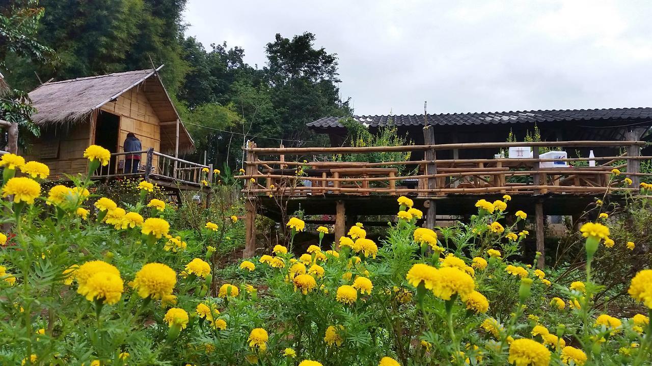 Baan Aingdoi Homestay, Chiang Dao Eksteriør bilde