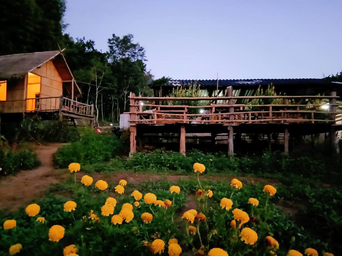 Baan Aingdoi Homestay, Chiang Dao Eksteriør bilde
