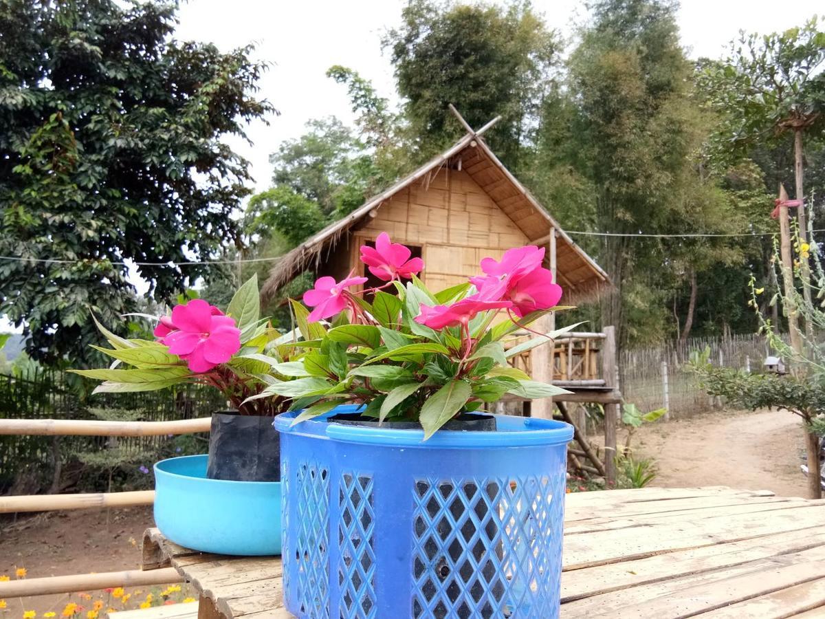 Baan Aingdoi Homestay, Chiang Dao Eksteriør bilde