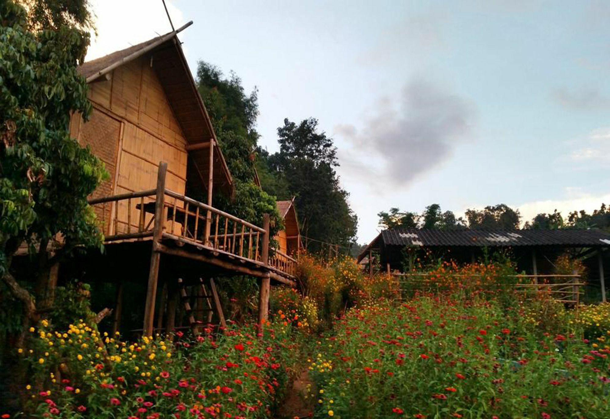 Baan Aingdoi Homestay, Chiang Dao Eksteriør bilde