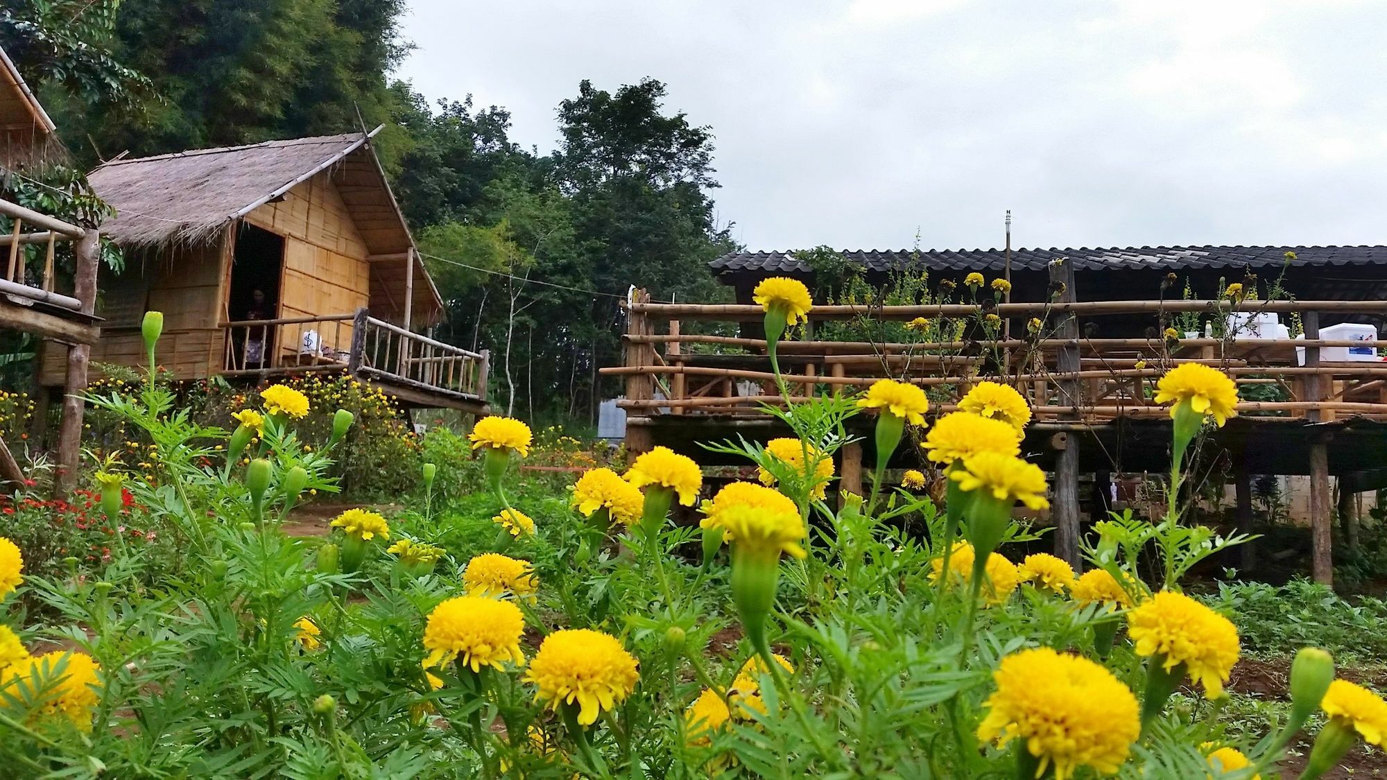Baan Aingdoi Homestay, Chiang Dao Eksteriør bilde