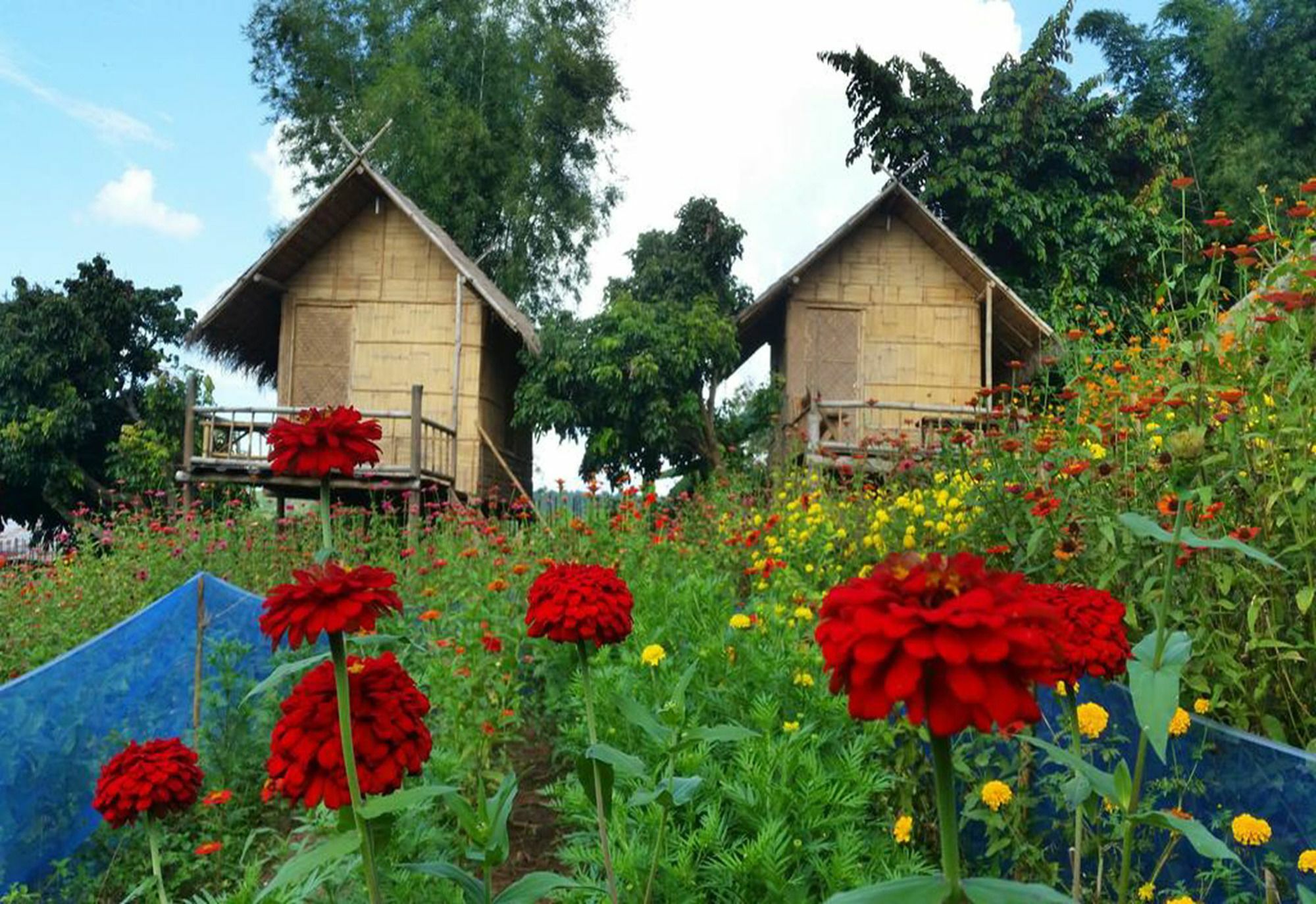 Baan Aingdoi Homestay, Chiang Dao Eksteriør bilde