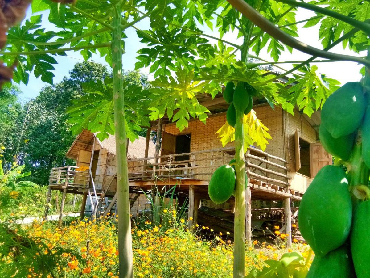 Baan Aingdoi Homestay, Chiang Dao Eksteriør bilde