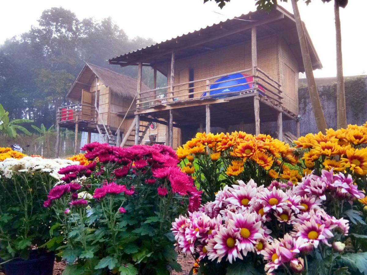 Baan Aingdoi Homestay, Chiang Dao Eksteriør bilde