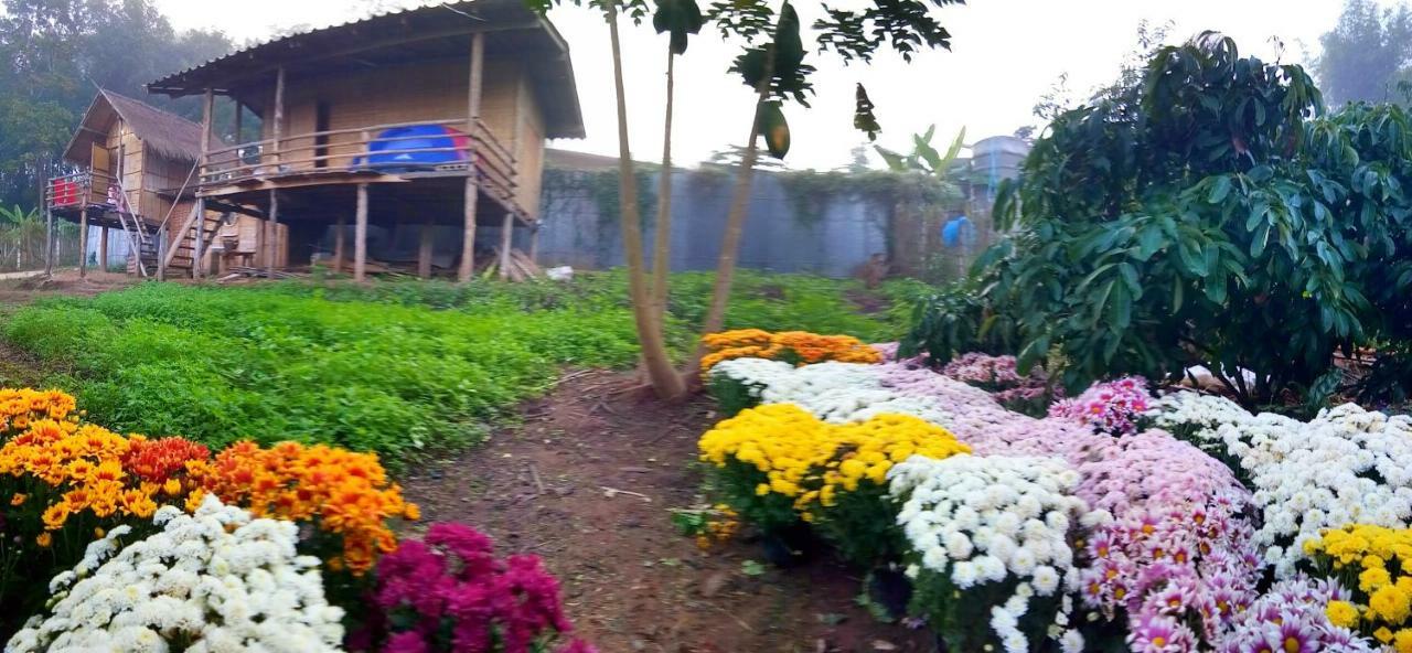 Baan Aingdoi Homestay, Chiang Dao Eksteriør bilde
