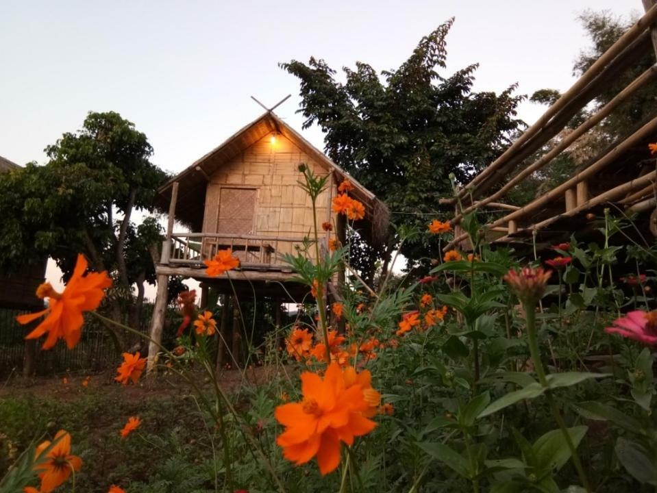 Baan Aingdoi Homestay, Chiang Dao Eksteriør bilde