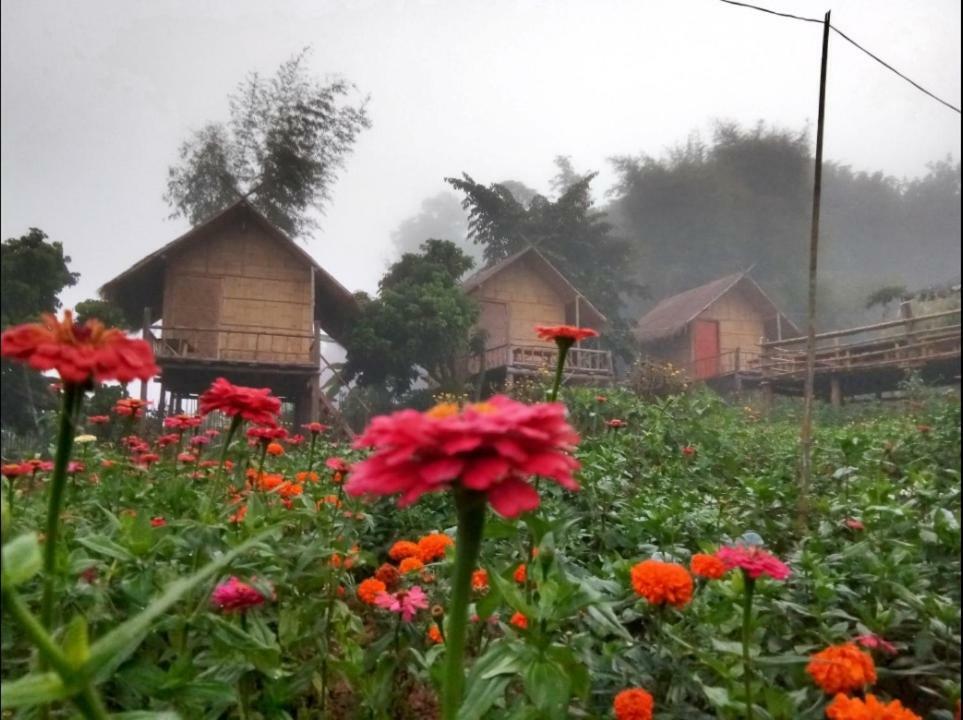 Baan Aingdoi Homestay, Chiang Dao Eksteriør bilde